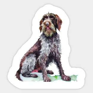 German Wirehaired Pointer Watercolor Painting Sticker